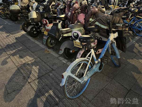 盲道问题反馈图