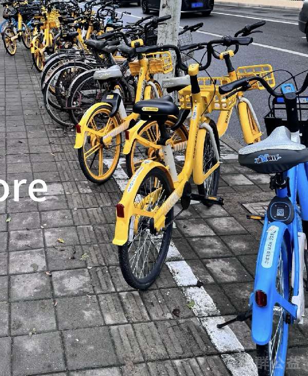 盲道问题反馈图