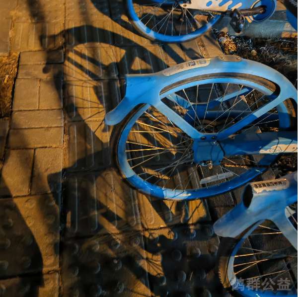 盲道问题反馈图