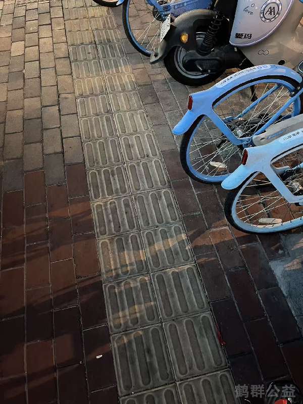 盲道问题处理后图片