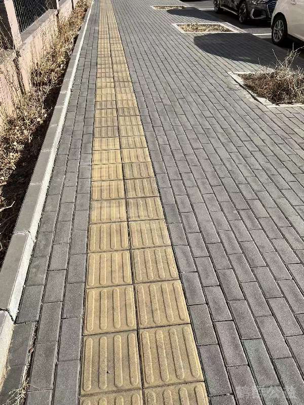 盲道问题处理后图片