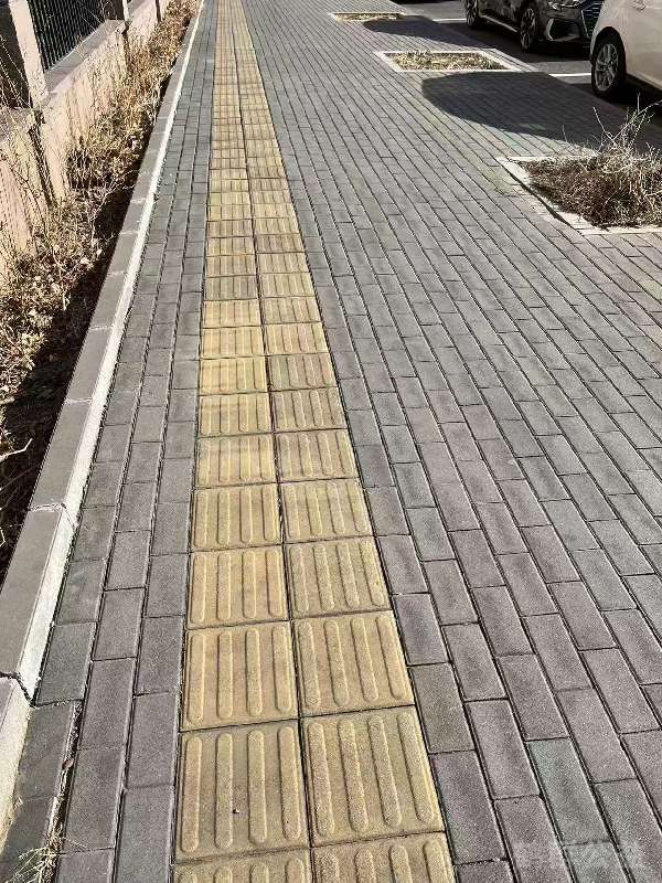 盲道问题处理后图片