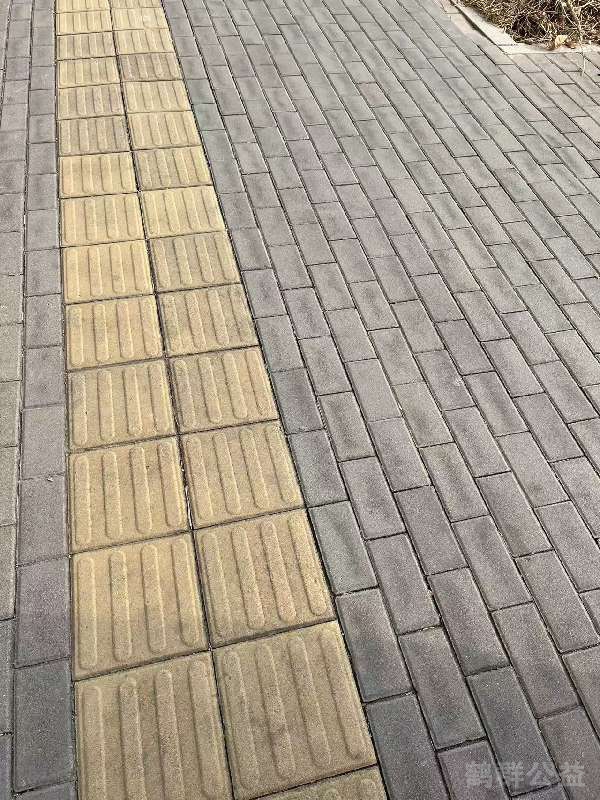 盲道问题处理后图片