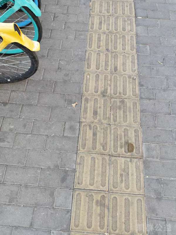 盲道问题处理后图片