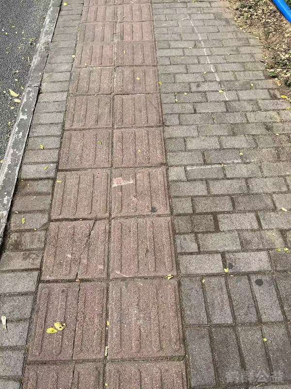 盲道问题处理后图片