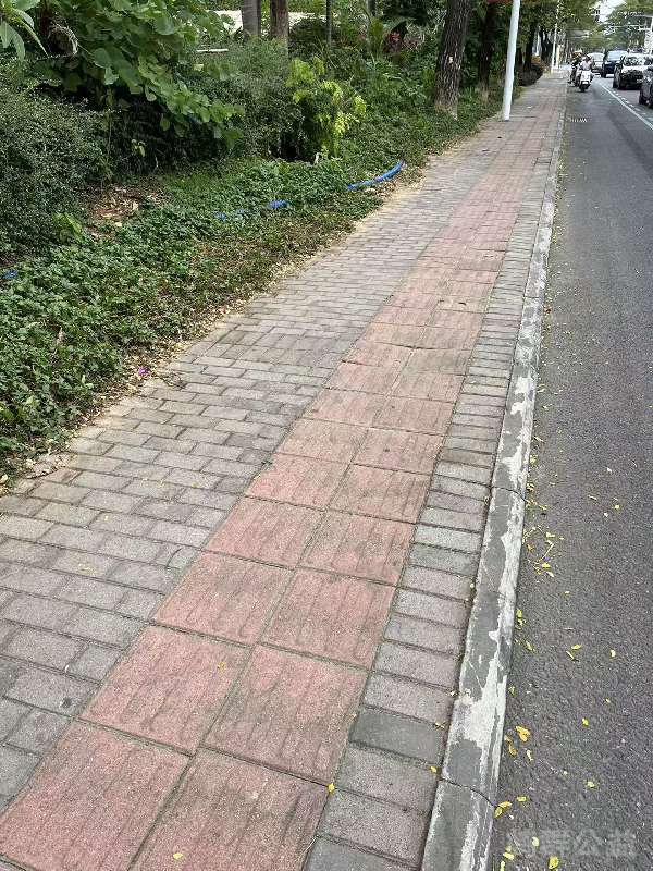 盲道问题处理后图片