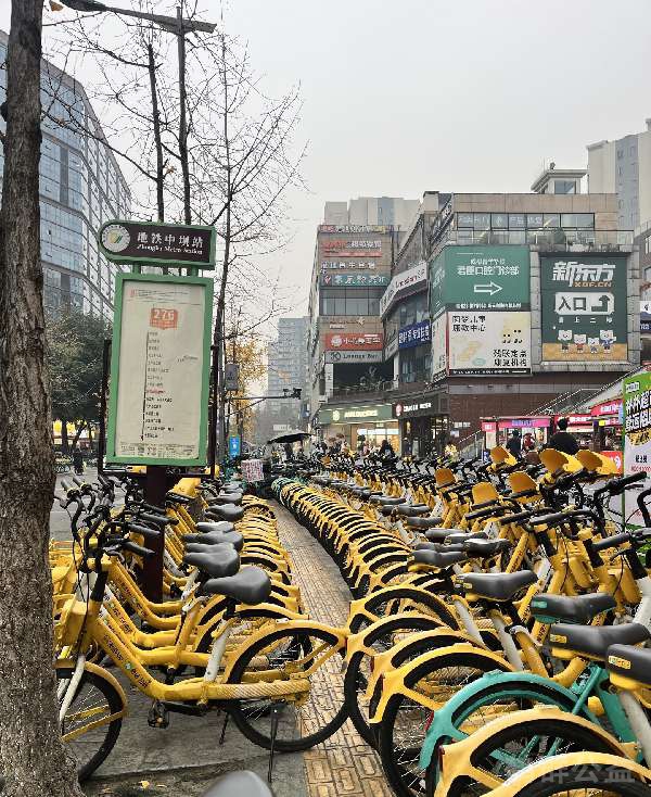 盲道问题反馈图