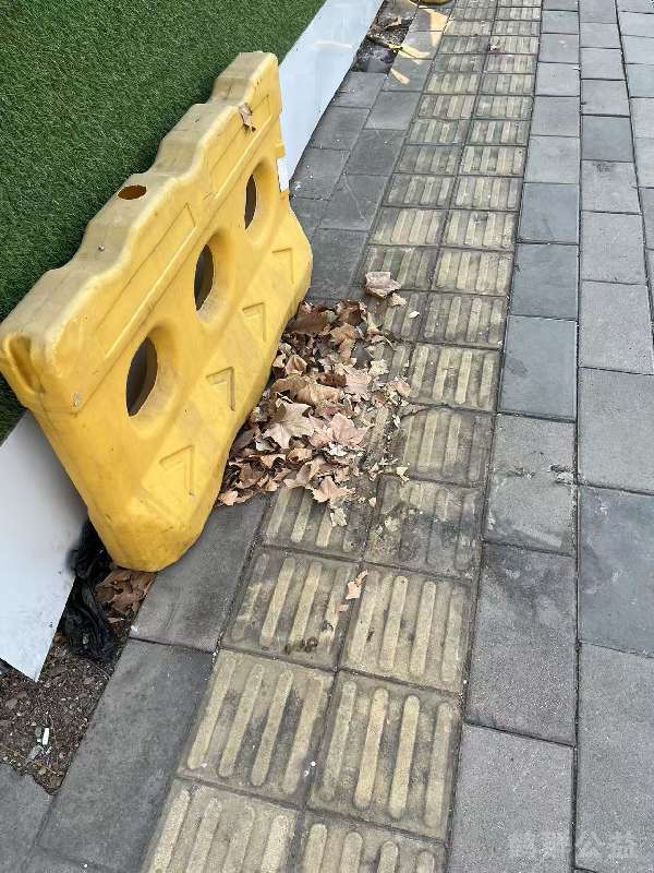 盲道问题处理后图片