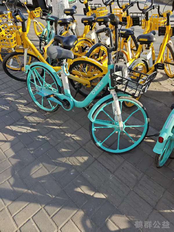 盲道问题反馈图