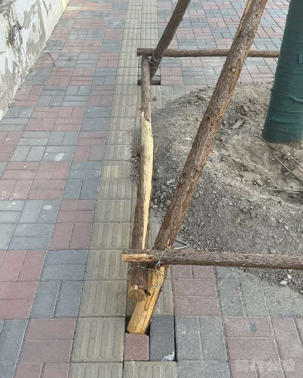 盲道问题反馈图