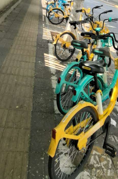 盲道问题处理后图片