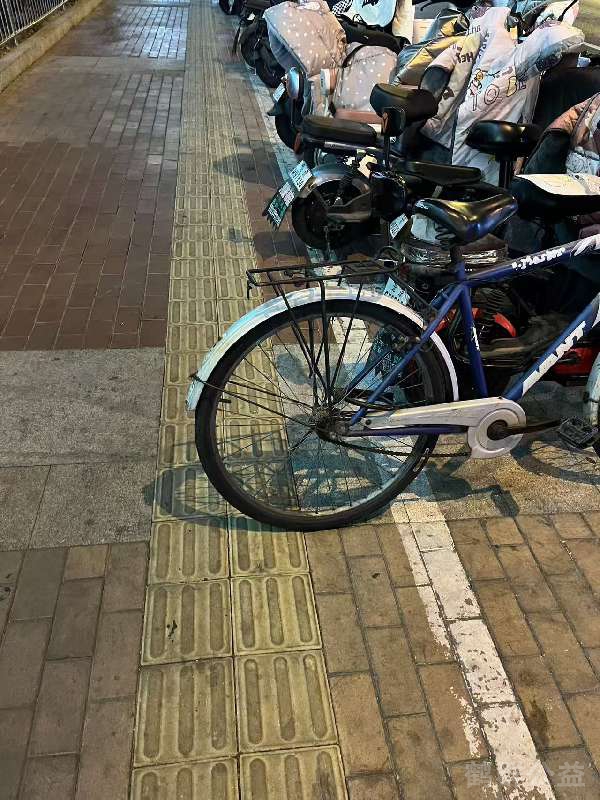 盲道问题反馈图