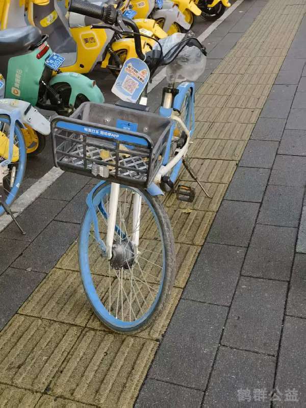 盲道问题反馈图