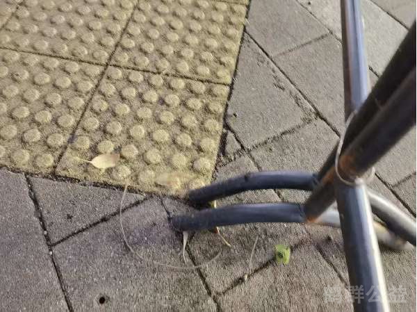 盲道问题处理后图片