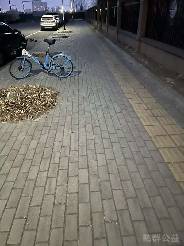 盲道问题处理后图片