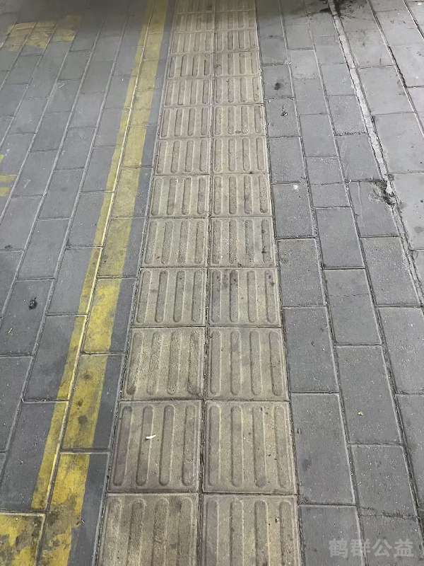 盲道问题处理后图片