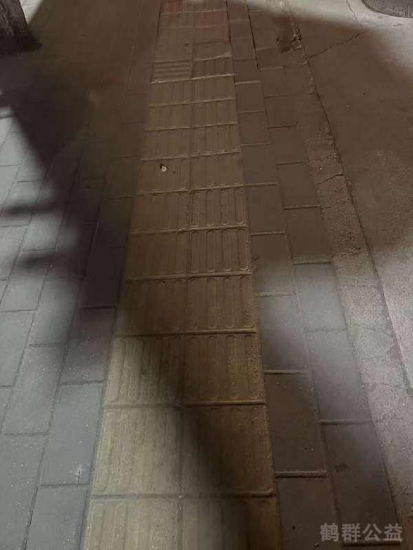 盲道问题处理后图片