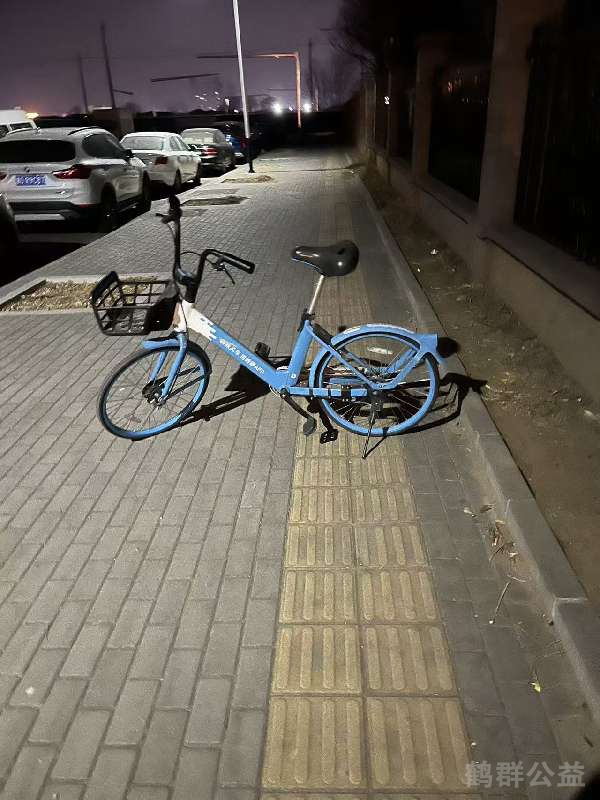 盲道问题反馈图