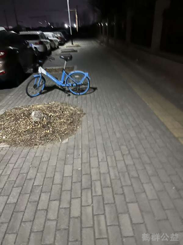 盲道问题处理后图片