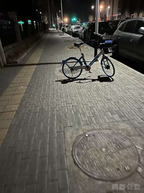 盲道问题处理后图片