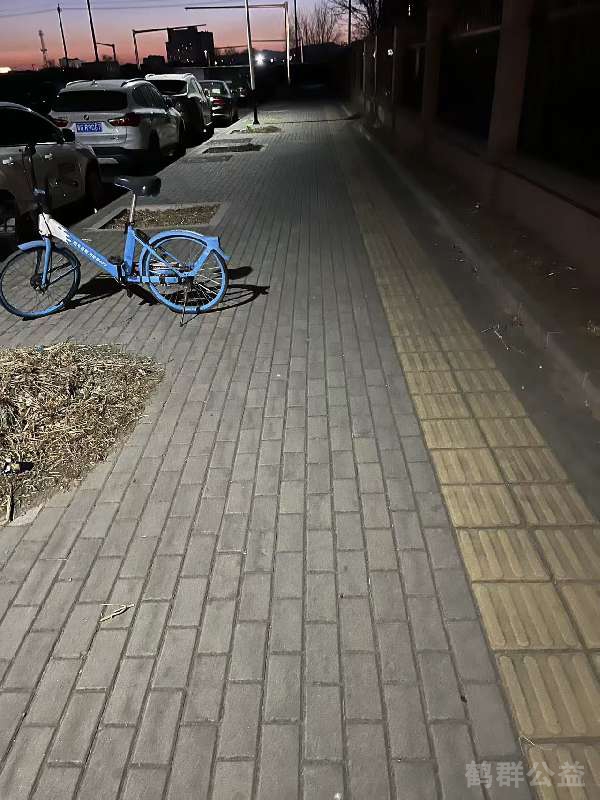 盲道问题处理后图片