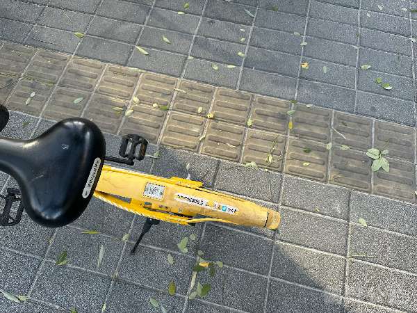 盲道问题处理后图片