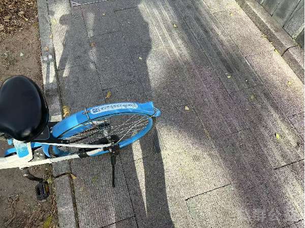 盲道问题处理后图片