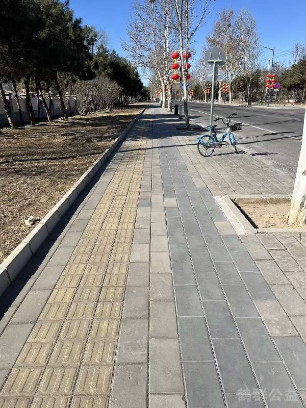 盲道问题处理后图片