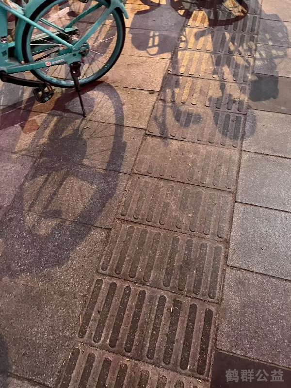 盲道问题处理后图片