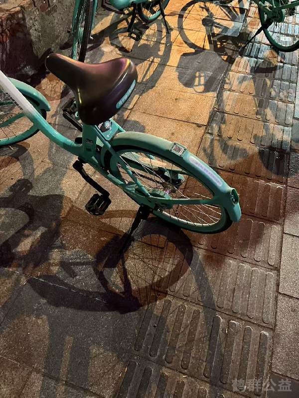 盲道问题反馈图