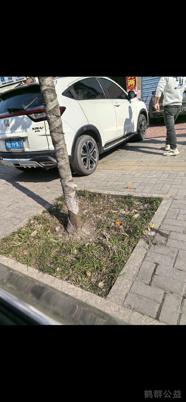 盲道问题反馈图