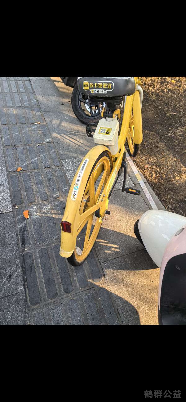 盲道问题反馈图