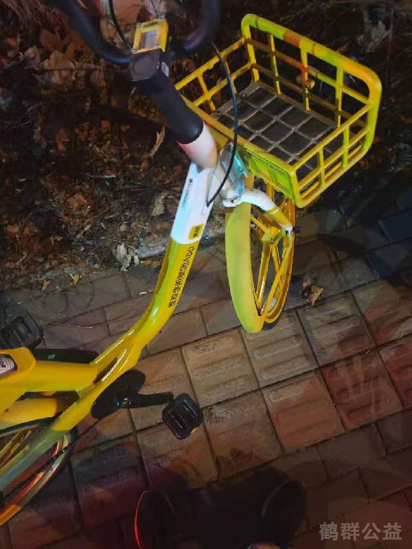 盲道问题反馈图