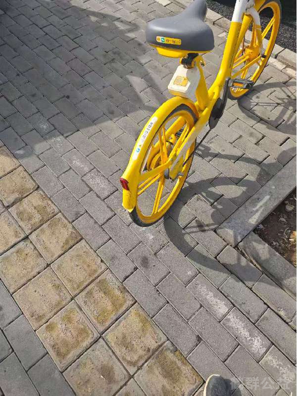 盲道问题处理后图片