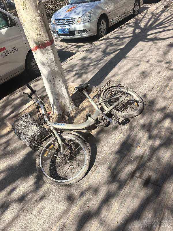 盲道问题反馈图