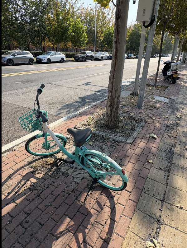 盲道问题处理后图片