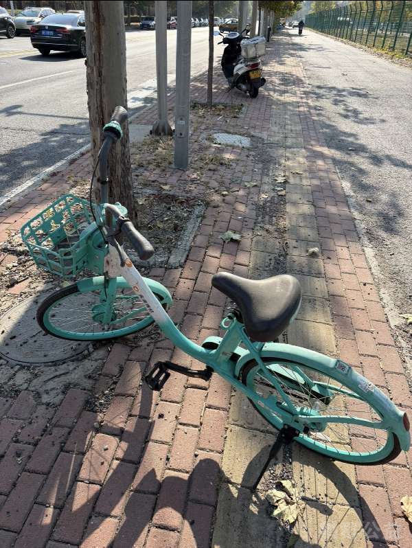 盲道问题反馈图