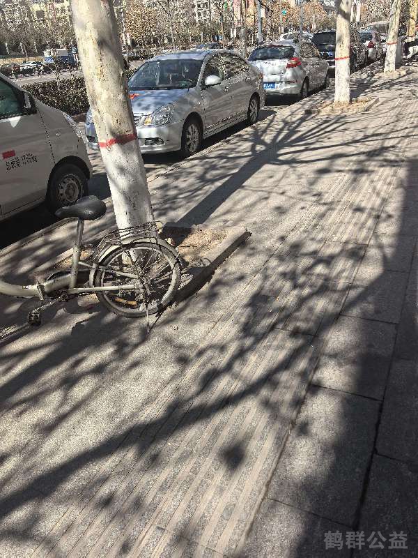 盲道问题处理后图片