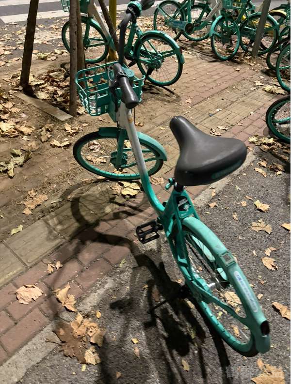 盲道问题反馈图