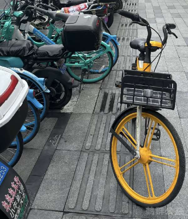 盲道问题反馈图