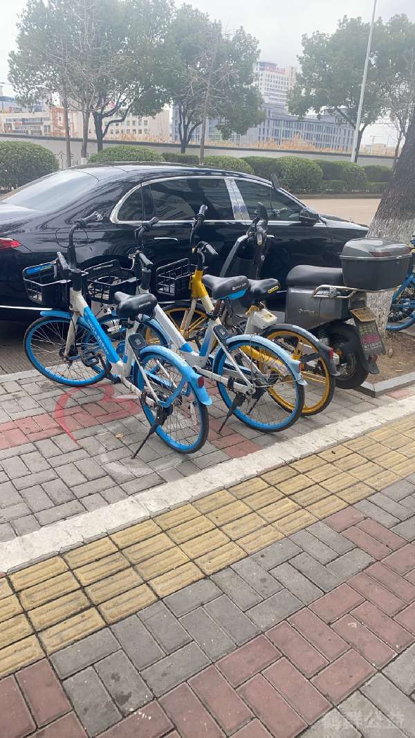 盲道问题处理后图片