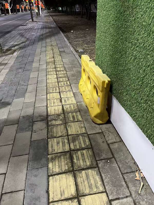 盲道问题处理后图片