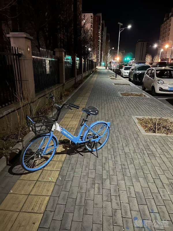 盲道问题反馈图