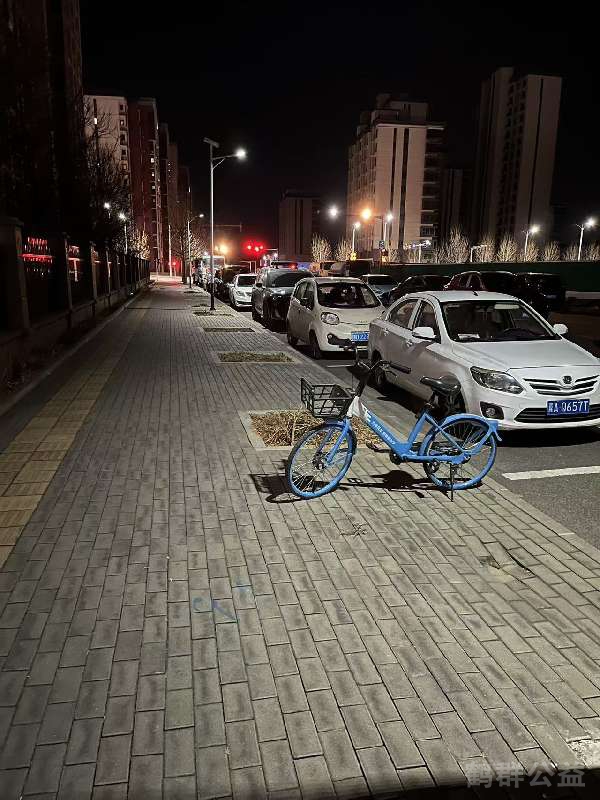 盲道问题处理后图片