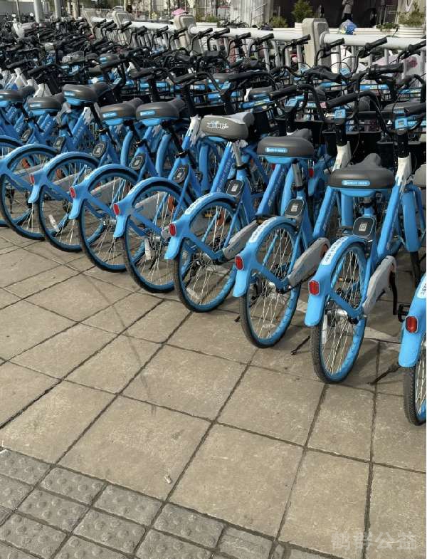 盲道问题处理后图片