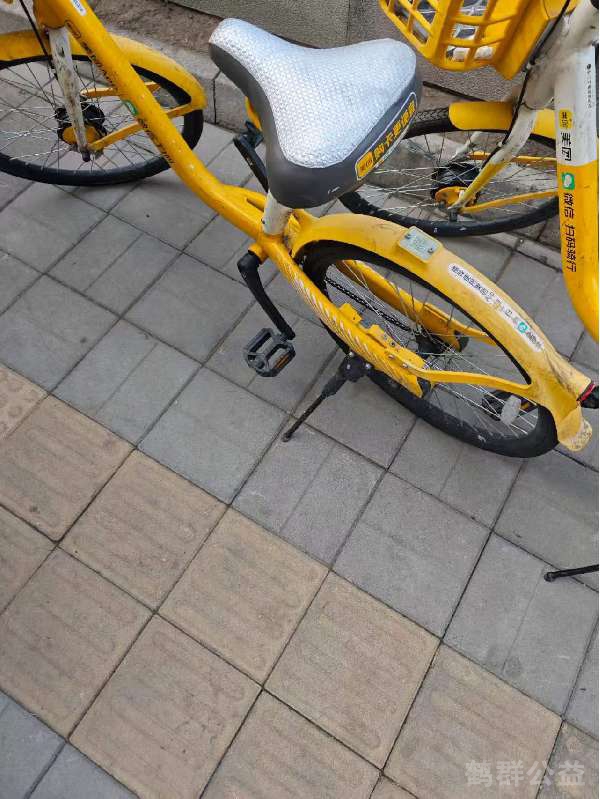 盲道问题处理后图片