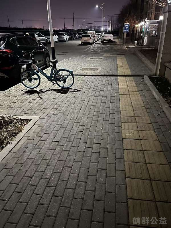 盲道问题处理后图片