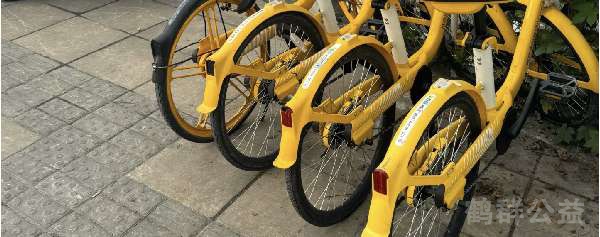 盲道问题处理后图片