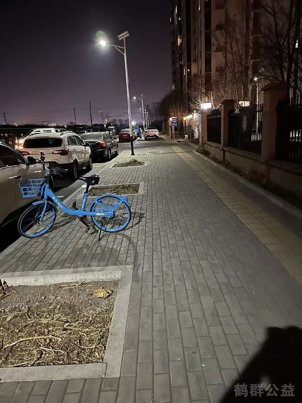 盲道问题处理后图片