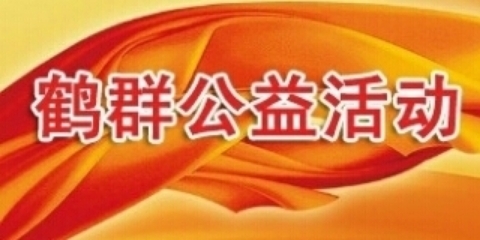鹤群2019年1月1日流村福利院元旦联欢会活动图